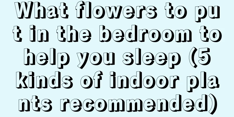 What flowers to put in the bedroom to help you sleep (5 kinds of indoor plants recommended)