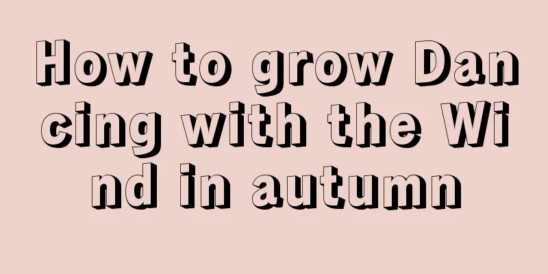 How to grow Dancing with the Wind in autumn