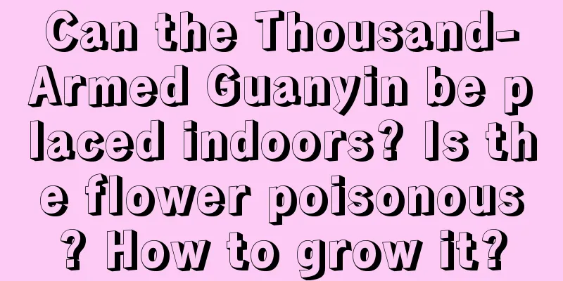 Can the Thousand-Armed Guanyin be placed indoors? Is the flower poisonous? How to grow it?