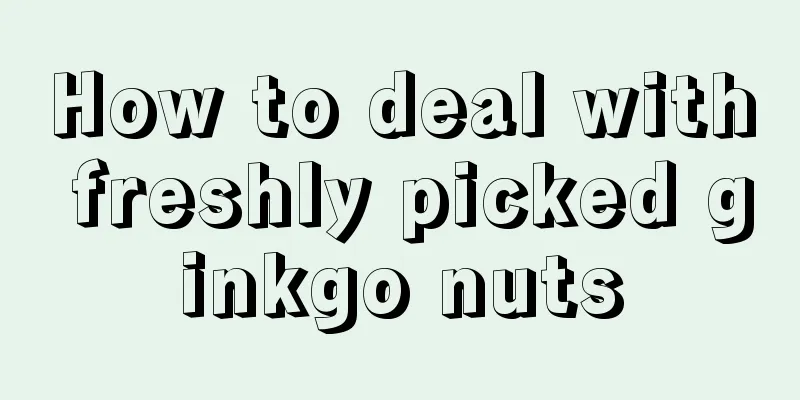 How to deal with freshly picked ginkgo nuts