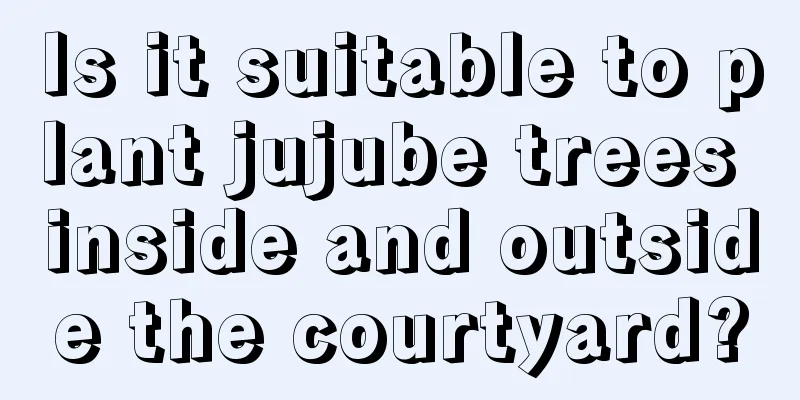 Is it suitable to plant jujube trees inside and outside the courtyard?