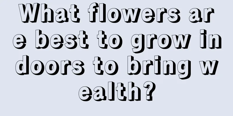 What flowers are best to grow indoors to bring wealth?