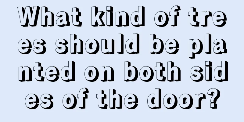 What kind of trees should be planted on both sides of the door?