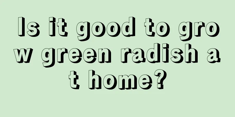 Is it good to grow green radish at home?