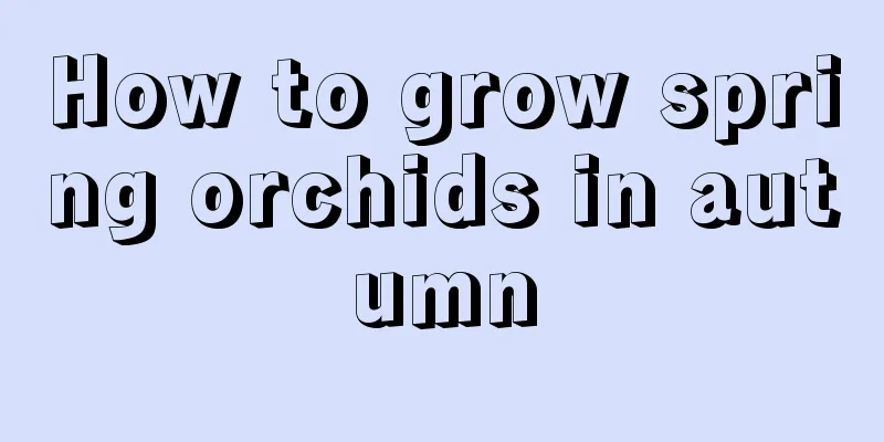 How to grow spring orchids in autumn