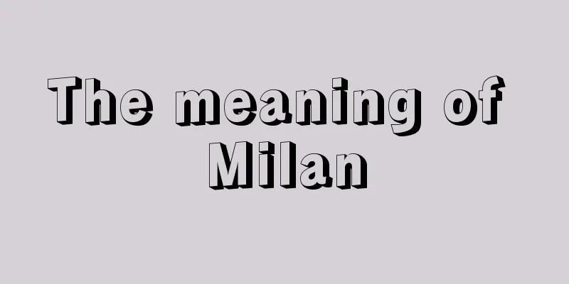 The meaning of Milan