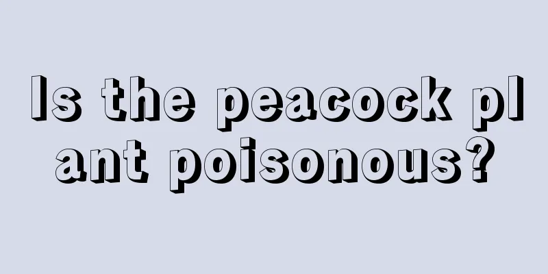 Is the peacock plant poisonous?