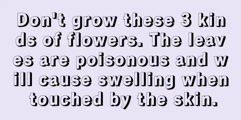 Don't grow these 3 kinds of flowers. The leaves are poisonous and will cause swelling when touched by the skin.