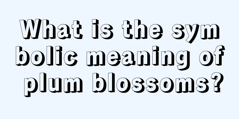 What is the symbolic meaning of plum blossoms?