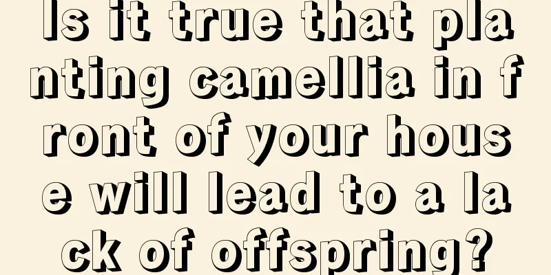 Is it true that planting camellia in front of your house will lead to a lack of offspring?