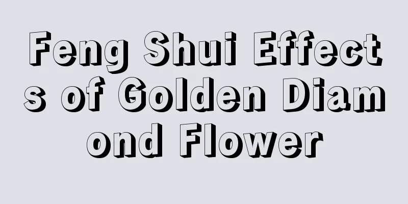 Feng Shui Effects of Golden Diamond Flower