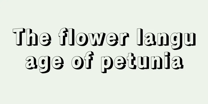 The flower language of petunia