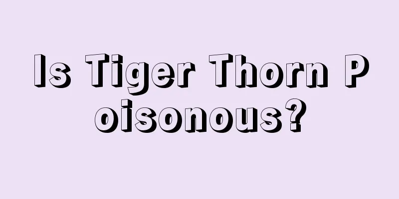 Is Tiger Thorn Poisonous?