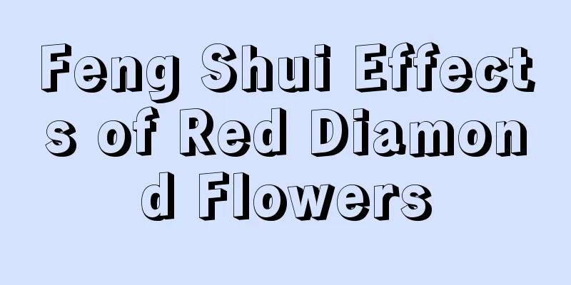 Feng Shui Effects of Red Diamond Flowers