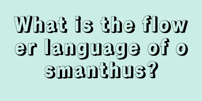 What is the flower language of osmanthus?