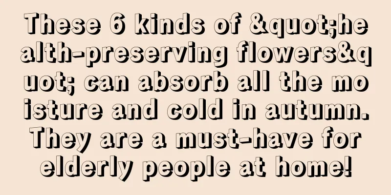 These 6 kinds of "health-preserving flowers" can absorb all the moisture and cold in autumn. They are a must-have for elderly people at home!