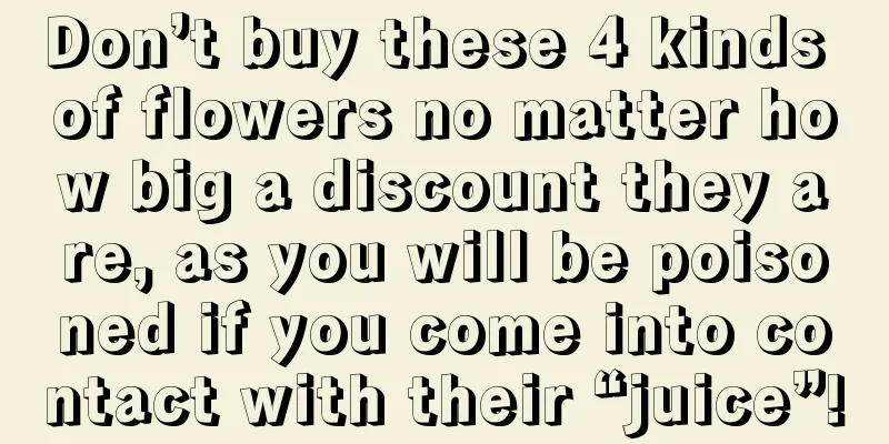 Don’t buy these 4 kinds of flowers no matter how big a discount they are, as you will be poisoned if you come into contact with their “juice”!