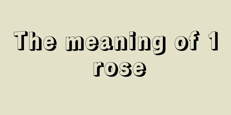 The meaning of 1 rose