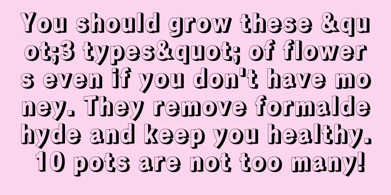 You should grow these "3 types" of flowers even if you don't have money. They remove formaldehyde and keep you healthy. 10 pots are not too many!