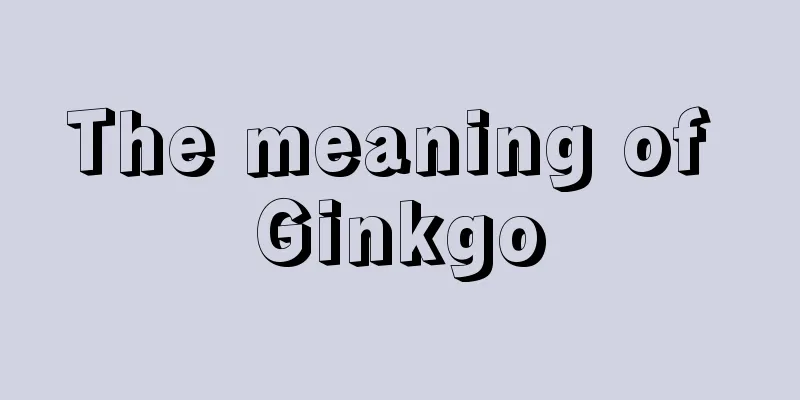 The meaning of Ginkgo