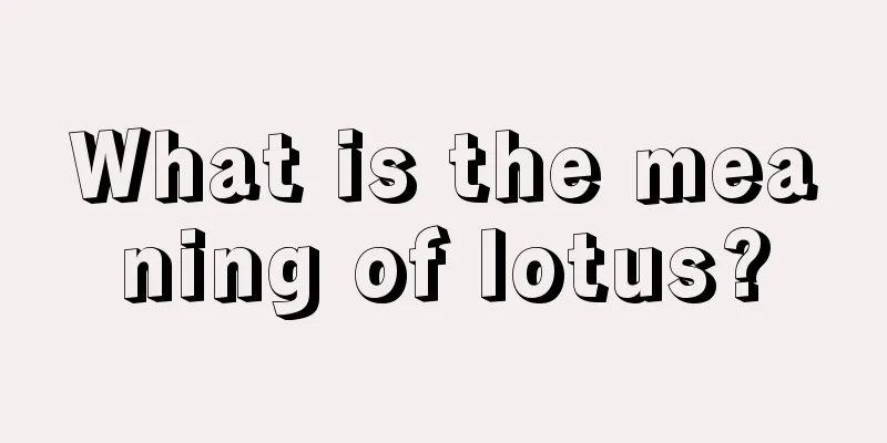 What is the meaning of lotus?