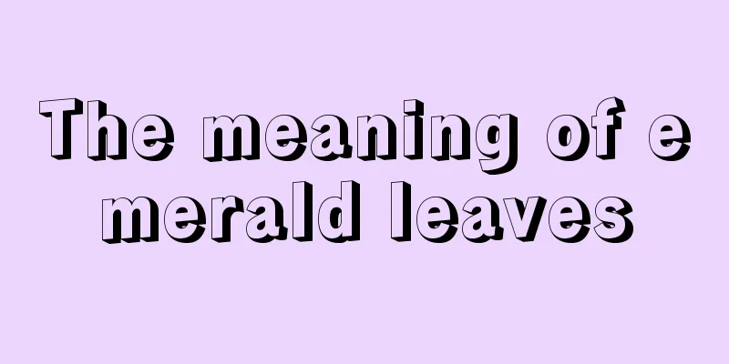 The meaning of emerald leaves