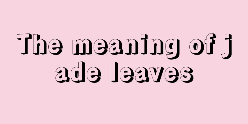 The meaning of jade leaves