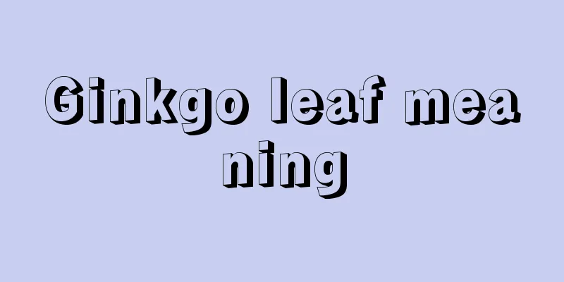 Ginkgo leaf meaning