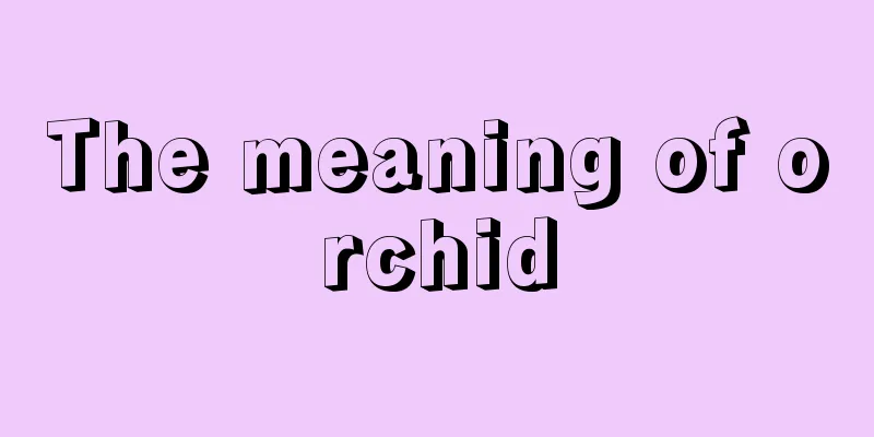 The meaning of orchid