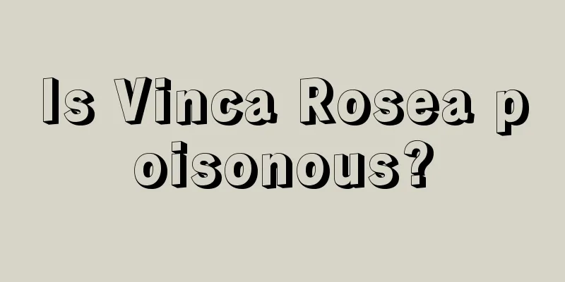 Is Vinca Rosea poisonous?