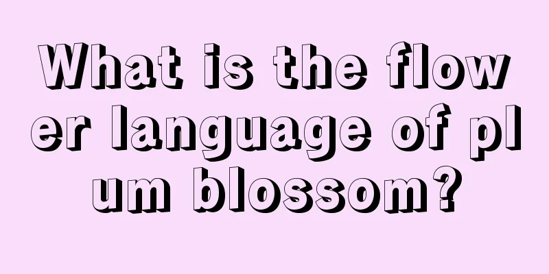 What is the flower language of plum blossom?