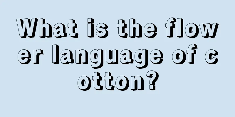 What is the flower language of cotton?