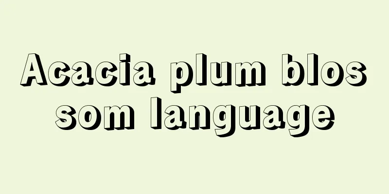 Acacia plum blossom language