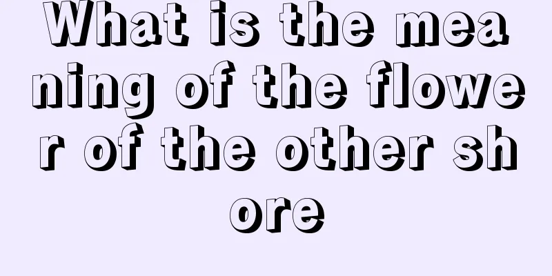 What is the meaning of the flower of the other shore