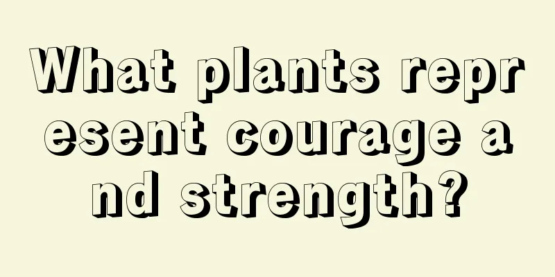 What plants represent courage and strength?