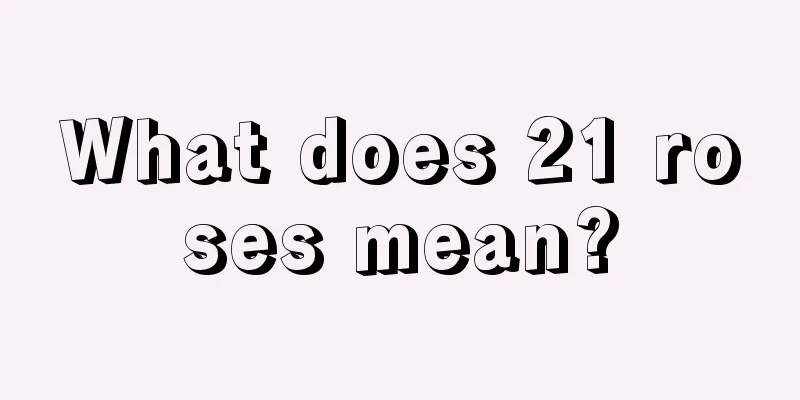 What does 21 roses mean?