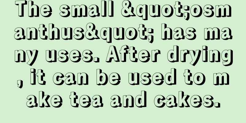 The small "osmanthus" has many uses. After drying, it can be used to make tea and cakes.