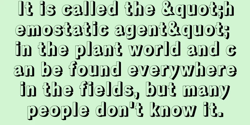 It is called the "hemostatic agent" in the plant world and can be found everywhere in the fields, but many people don't know it.