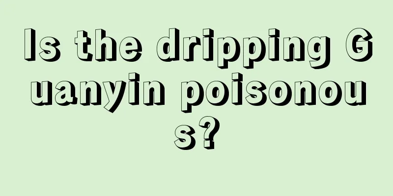 Is the dripping Guanyin poisonous?