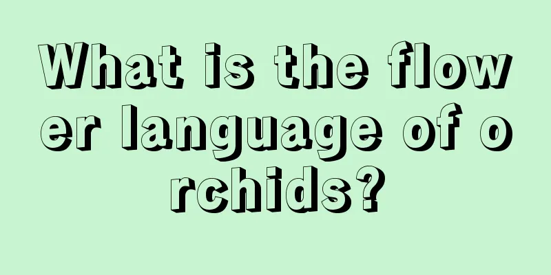 What is the flower language of orchids?