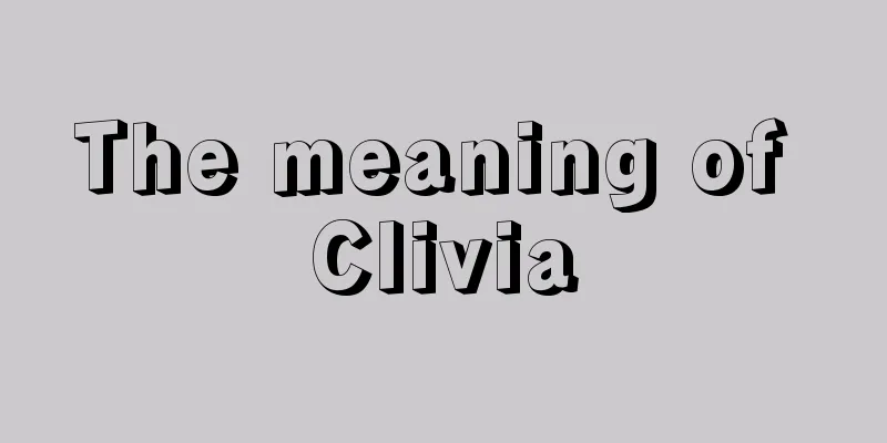 The meaning of Clivia