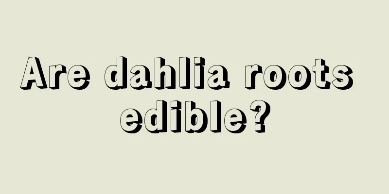 Are dahlia roots edible?