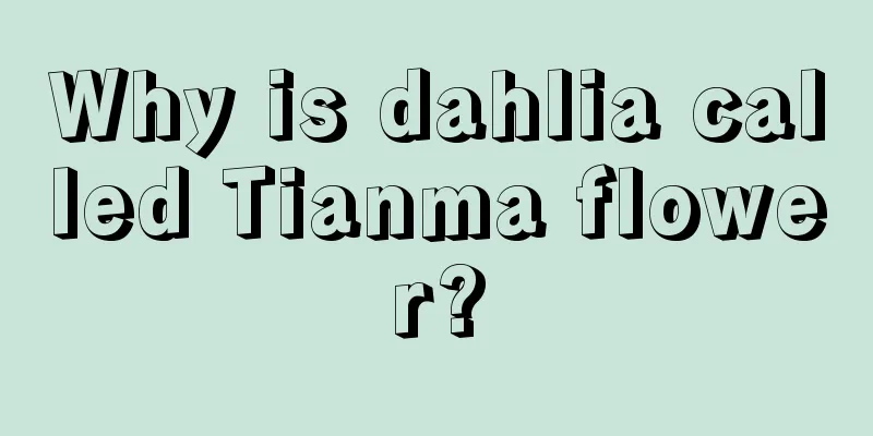 Why is dahlia called Tianma flower?