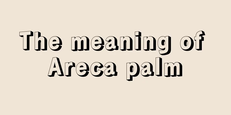 The meaning of Areca palm