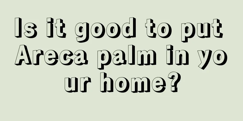 Is it good to put Areca palm in your home?