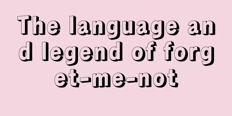 The language and legend of forget-me-not