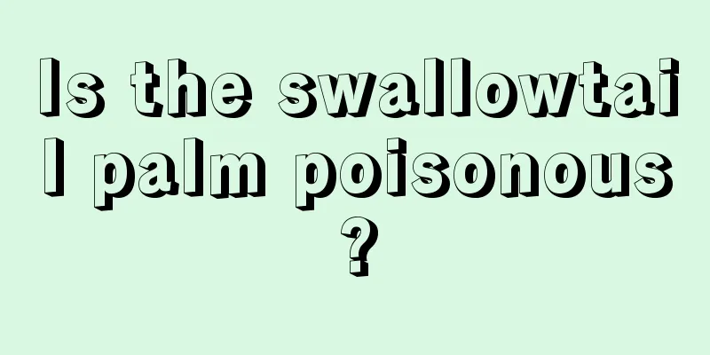 Is the swallowtail palm poisonous?