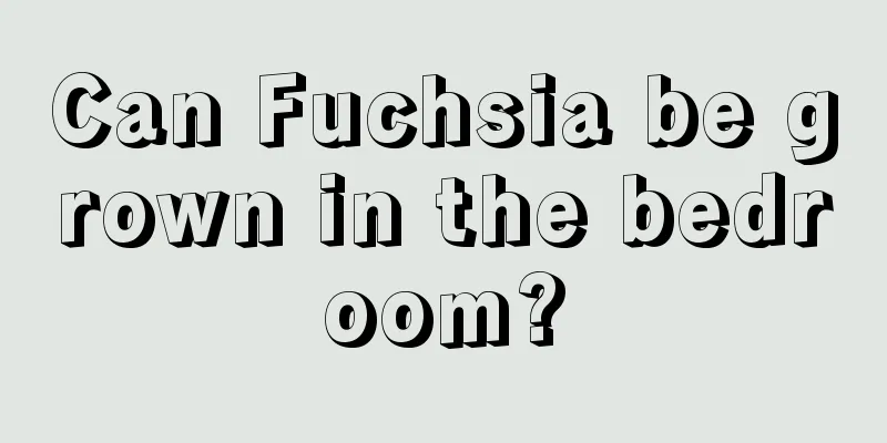 Can Fuchsia be grown in the bedroom?