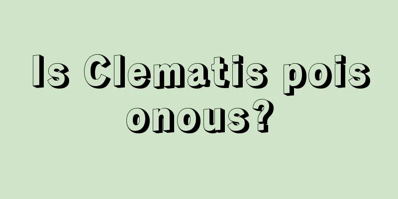 Is Clematis poisonous?