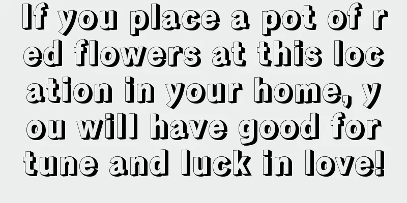 If you place a pot of red flowers at this location in your home, you will have good fortune and luck in love!